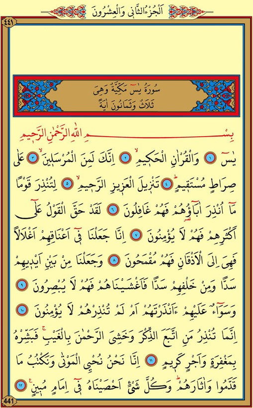 yasin suresi arapca 1 sayfa